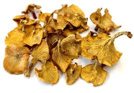 Chanterelle Mushrooms​