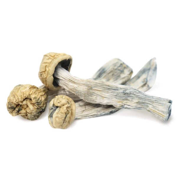 Yeti Mushroom​