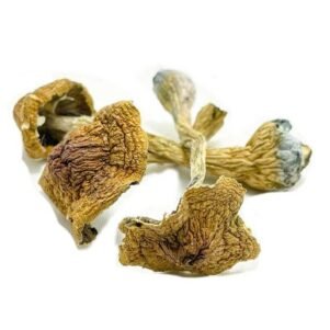 Good Looking Strains Dried Mushrooms​