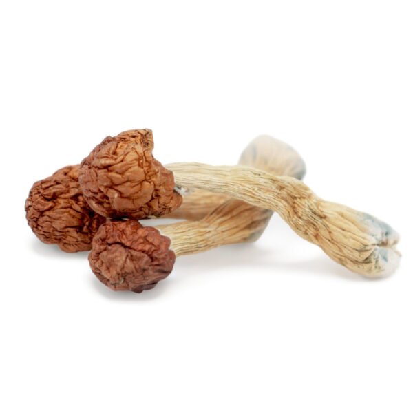 Melmac Magic Mushroom