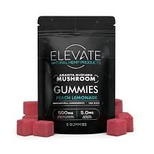elevate mushroom gummies​